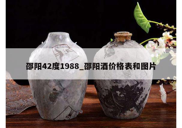 邵阳42度1988_邵阳酒价格表和图片