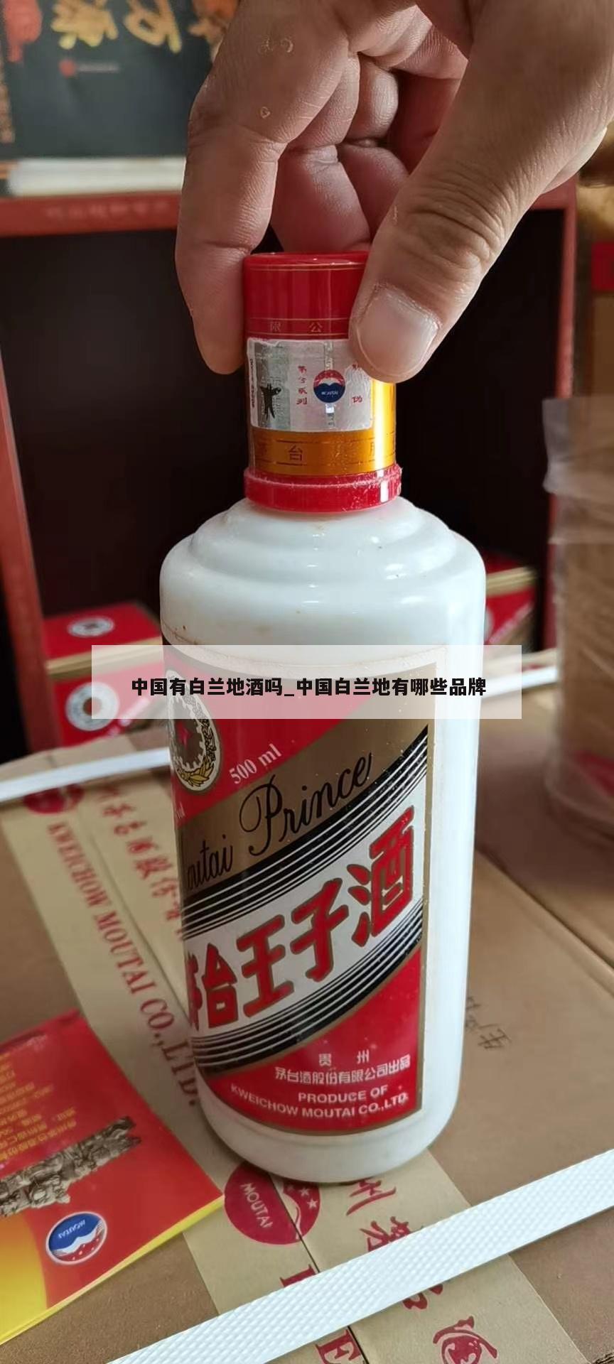 中国有白兰地酒吗_中国白兰地有哪些品牌